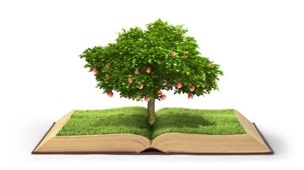 Article illustration