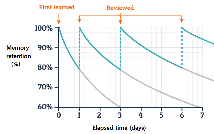 The Forgetting Curve